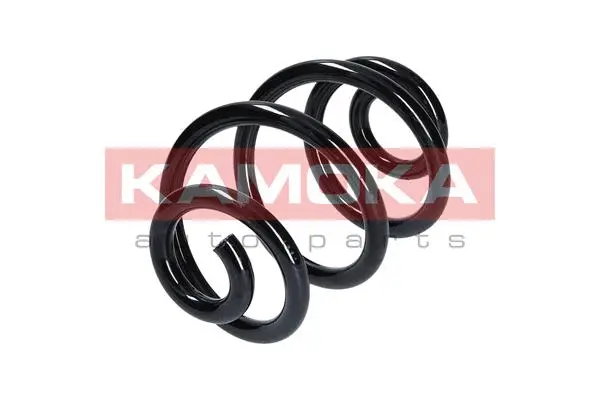 Suspension Spring (2120006)