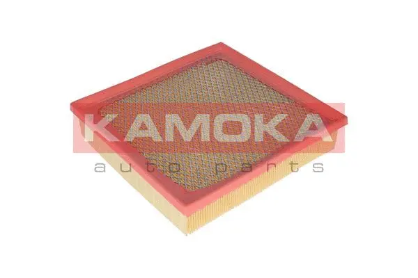 Air Filter (F224801)