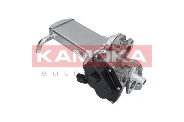 EGR Module