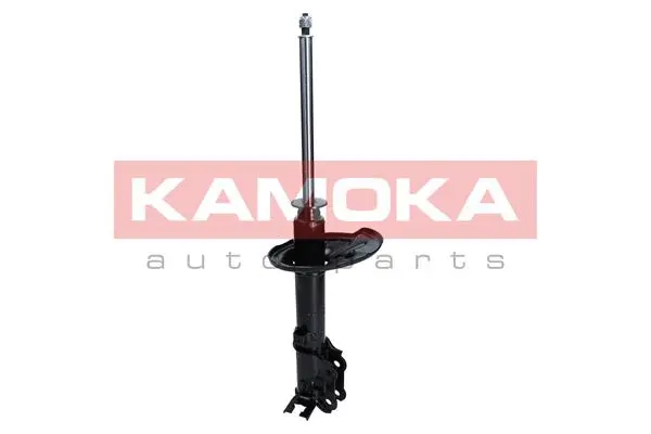 Shock Absorber (2000126)