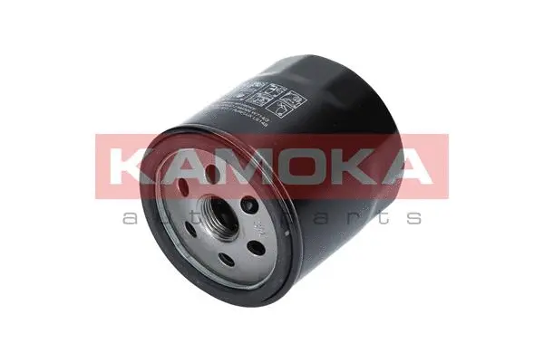 Oil Filter (F113101)