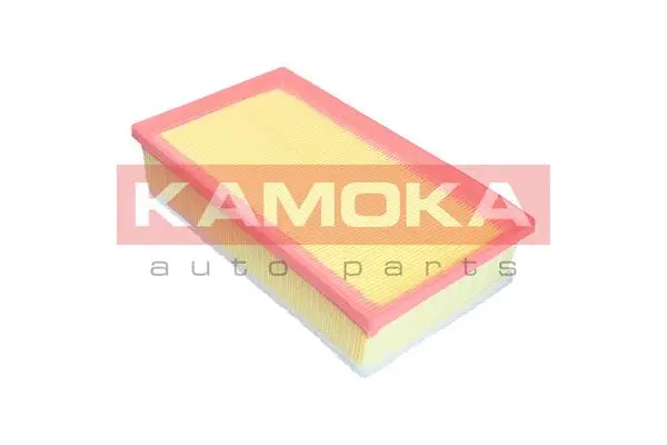 Air Filter (F239801)