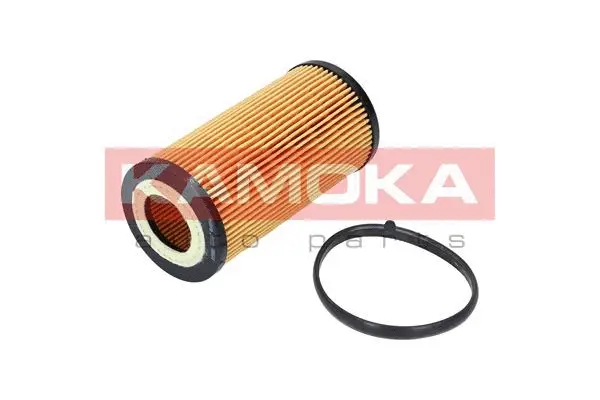 Oil Filter (F110501)