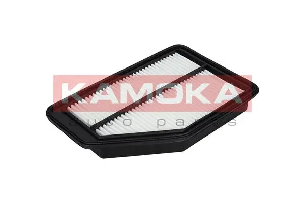 Air Filter (F225801)