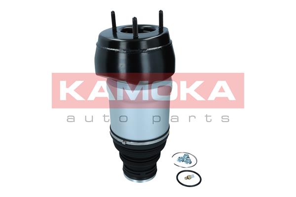 Air Spring, suspension (2079047)