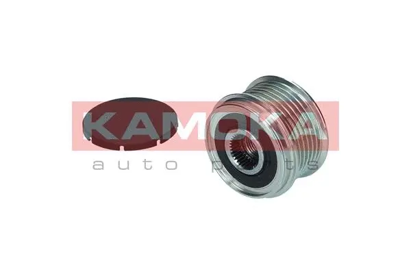 Alternator Freewheel Clutch