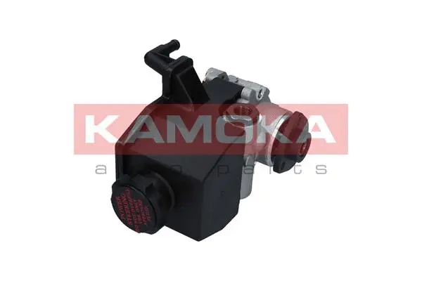 Hydraulic Pump, steering (PP141)