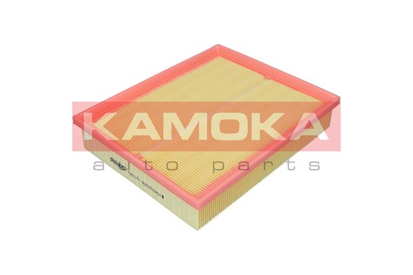 Air Filter (F251101)