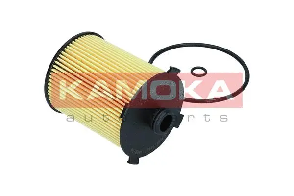 Oil Filter (F116201)