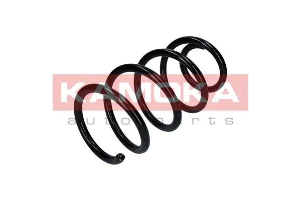 Suspension Spring (2110307)