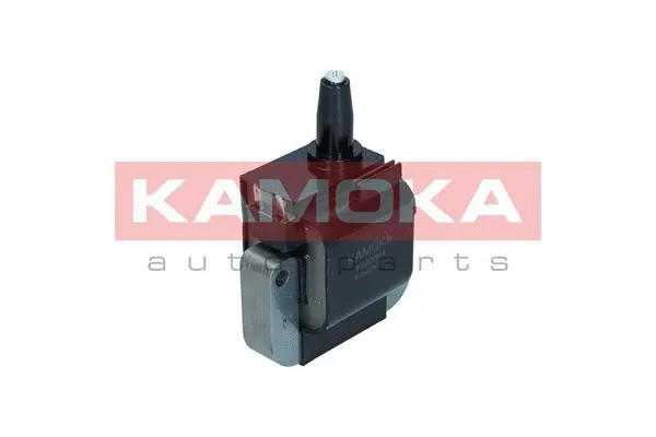 Ignition Coil (7120064)