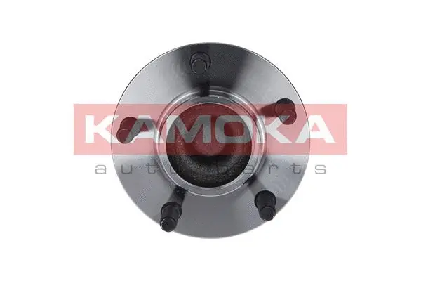 Wheel Bearing Kit (5500083)
