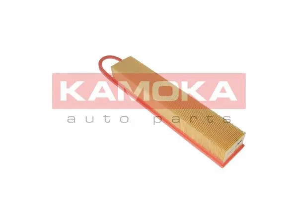 Air Filter (F221501)