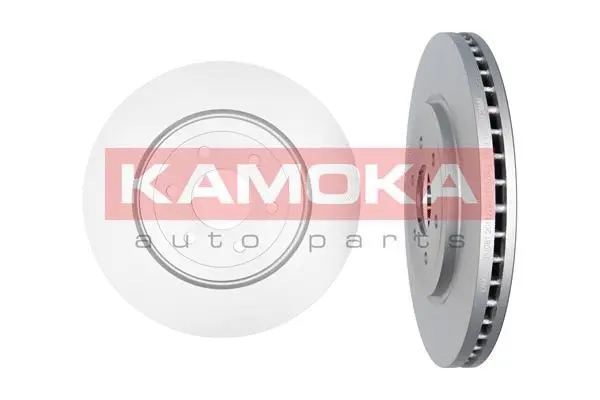 Brake Disc (1031081)