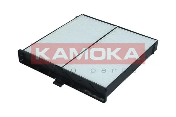 Filter, cabin air (F419601)