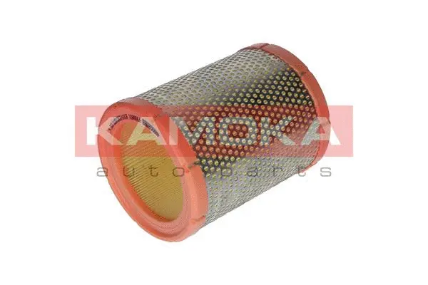 Air Filter (F213701)