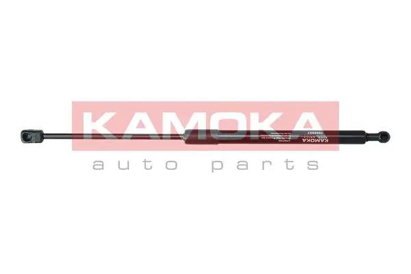 Gas Spring, boot/cargo area (7092557)