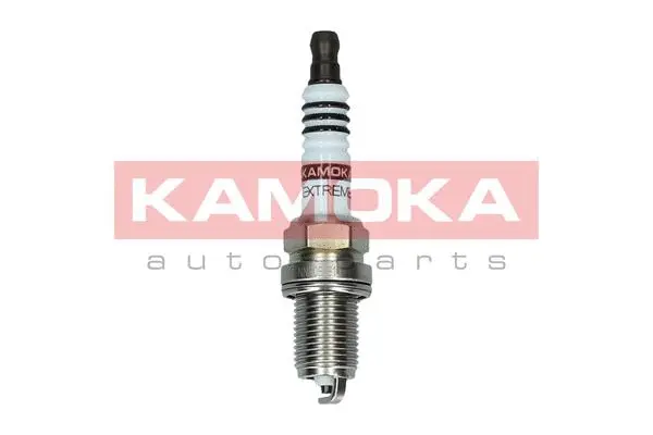 Spark Plug (7090502)
