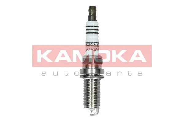 Spark Plug (7100039)