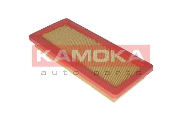 Air Filter (F224701)