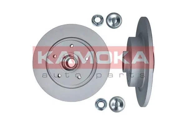 Brake Disc (1031063)