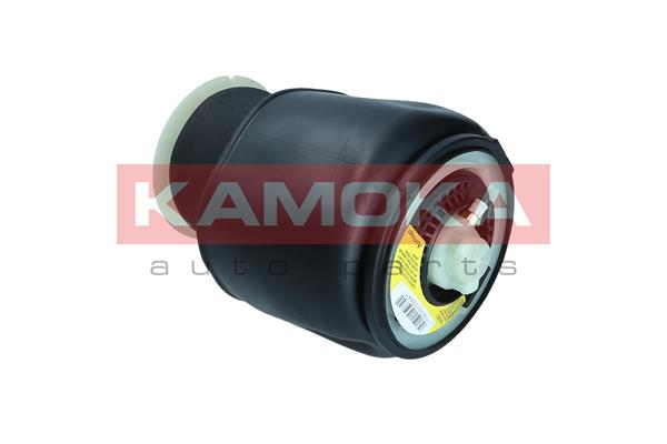 Air Spring, suspension