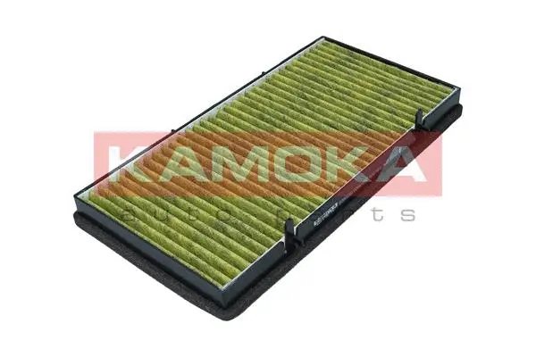 Filter, cabin air (6080159)