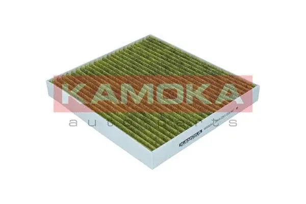 Filter, cabin air (6080034)