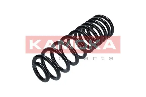 Suspension Spring (2120248)