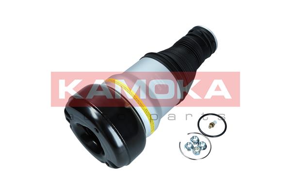 Air Spring, suspension (2079057)