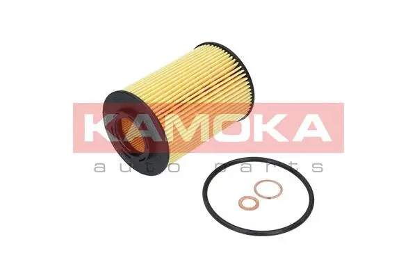 Oil Filter (F107901)