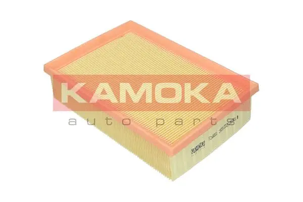 Air Filter (F244001)
