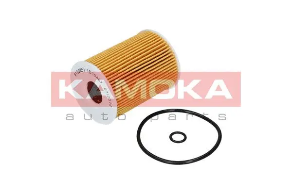 Oil Filter (F109201)