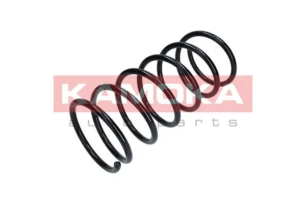 Suspension Spring (2110136)