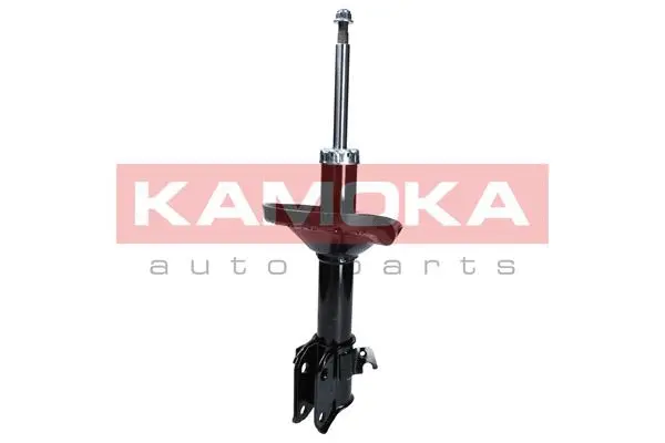 Shock Absorber (2000032)