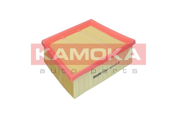 Air Filter (F258001)
