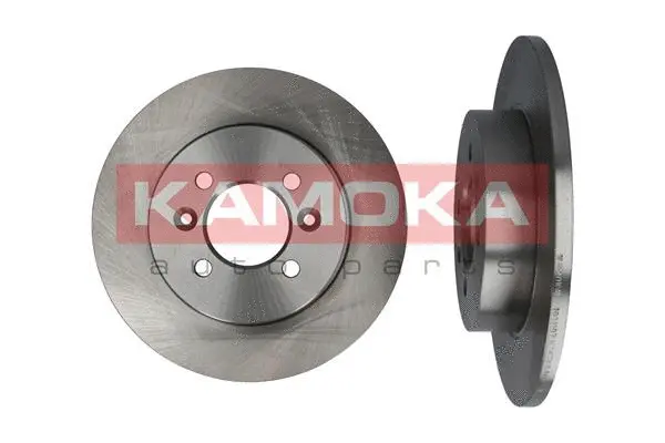 Brake Disc (1031107)