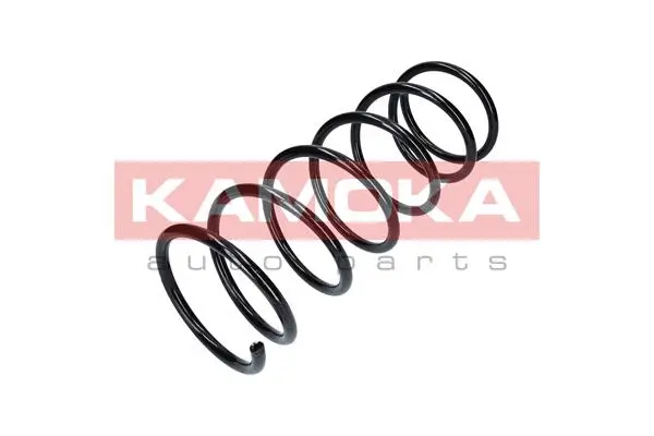 Suspension Spring (2110122)