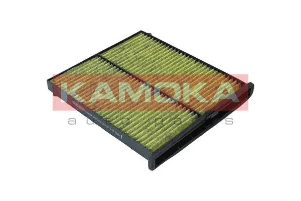 Filter, cabin air (6080096)