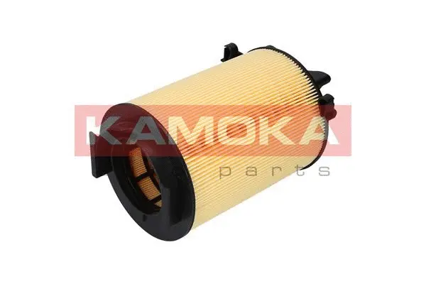 Air Filter (F215401)