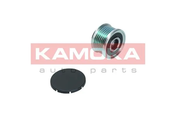 Alternator Freewheel Clutch