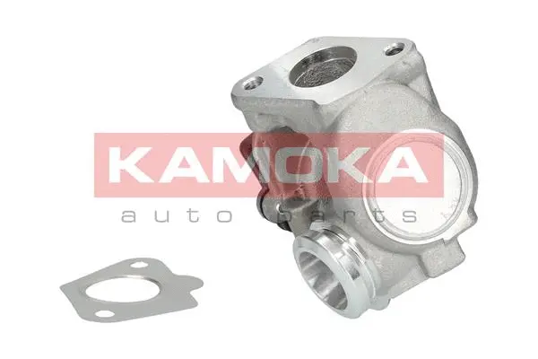 EGR Valve