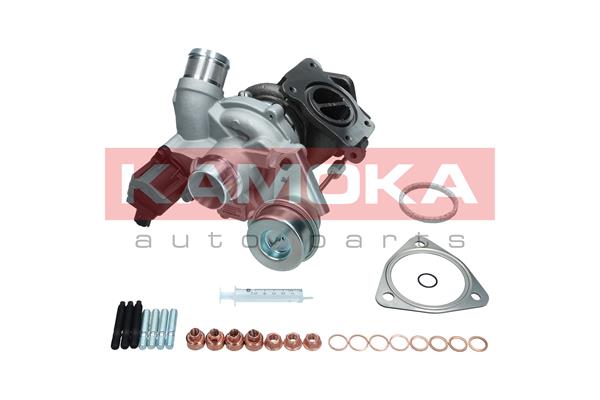 Charger, charging (supercharged/turbocharged) (8600038)