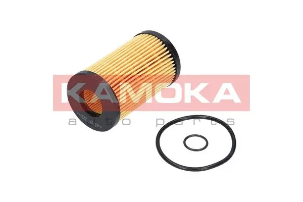 Oil Filter (F105301)