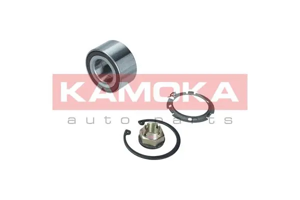 Wheel Bearing Kit (5600132)