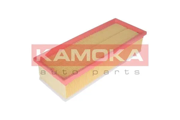 Air Filter (F229701)