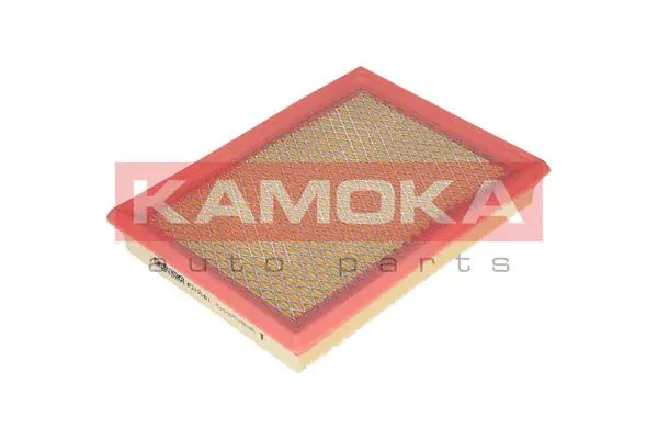 Air Filter (F212301)