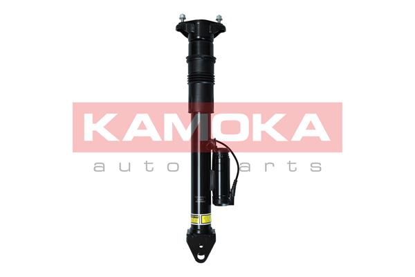 Air Suspension Strut (2070017)