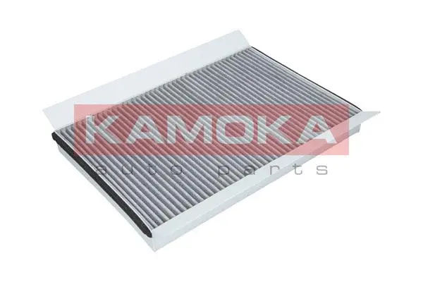 Filter, cabin air (F509001)