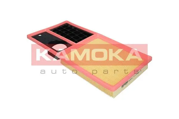 Air Filter (F233701)